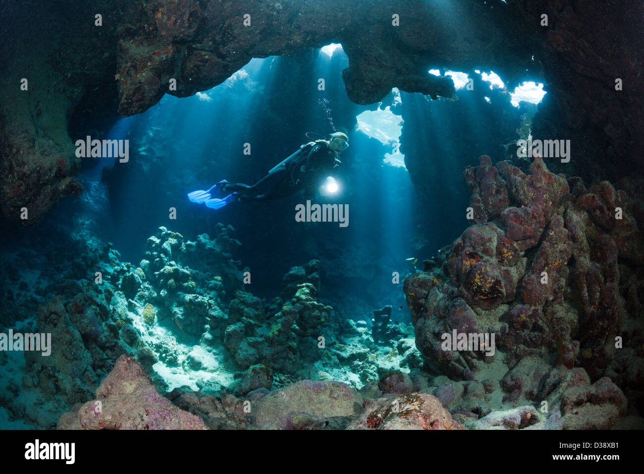 Scuba Diver all'interno della grotta, grotta Reef, Mar Rosso, Egitto Foto Stock
