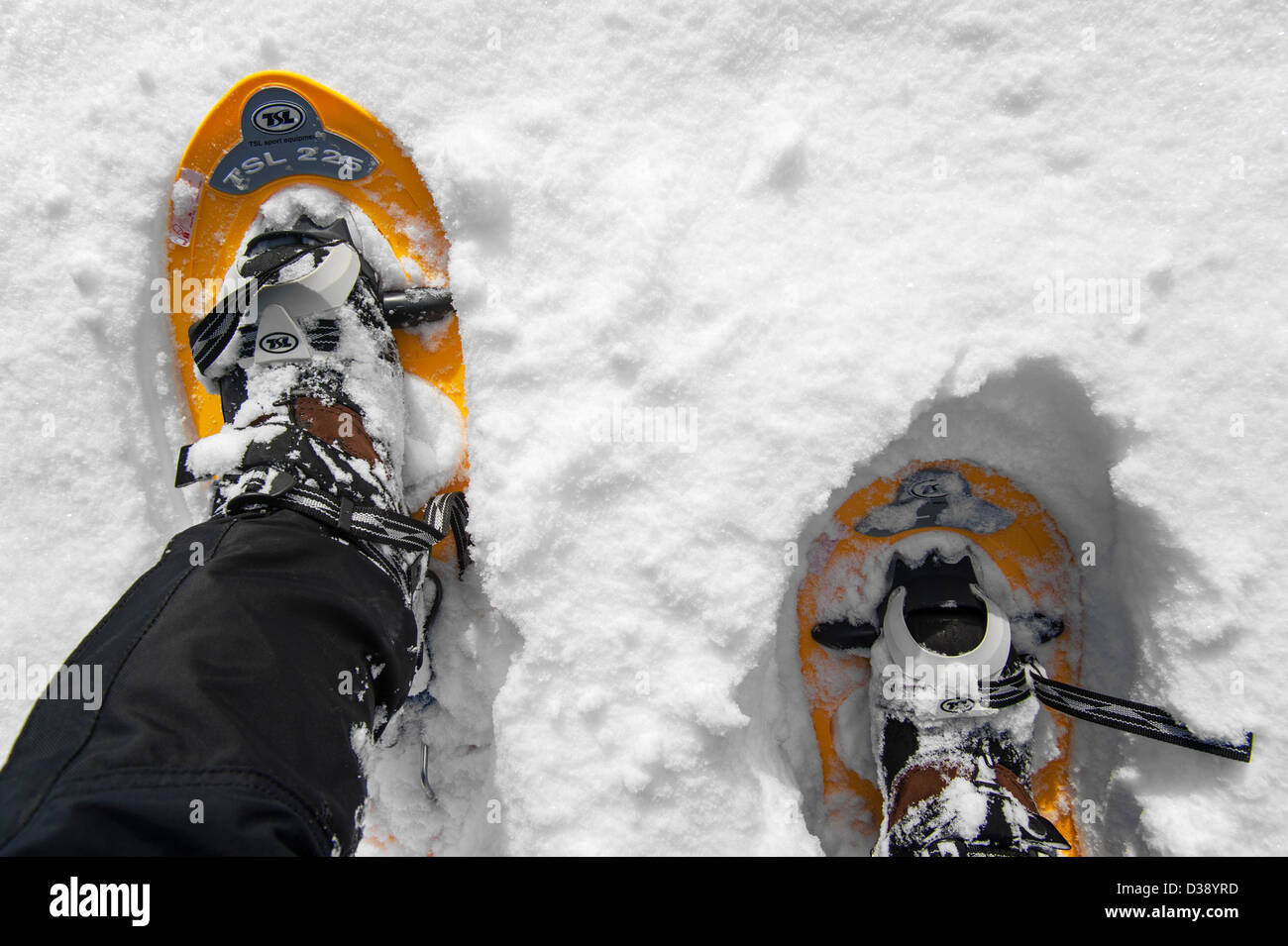 Close up di walker con le racchette da neve a piedi mentre con le racchette da neve nel profondo neve farinosa in inverno Foto Stock