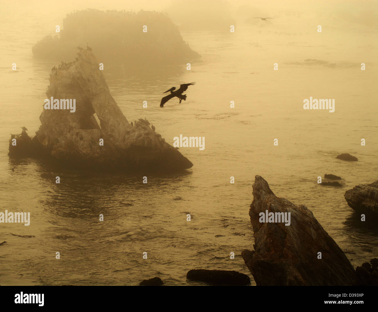 Immagine seppia di un gruppo di isole al largo di Pismo Beach California con pelican in volo dando un epoca preistorica sentire Foto Stock