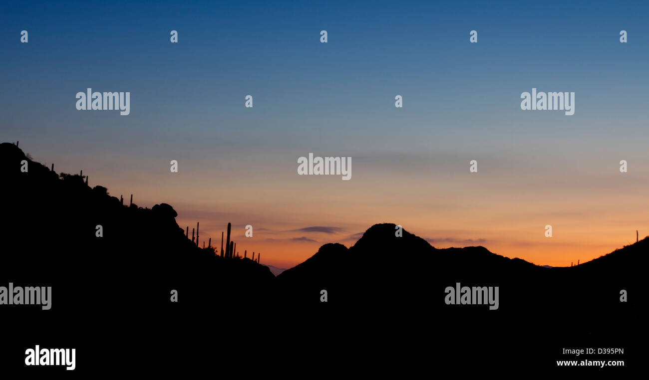 Sunrise a porte pass in Tucson Mountain Park, guardando indietro verso la città di Tucson, Arizona; copia di spazio al di sopra del. Foto Stock