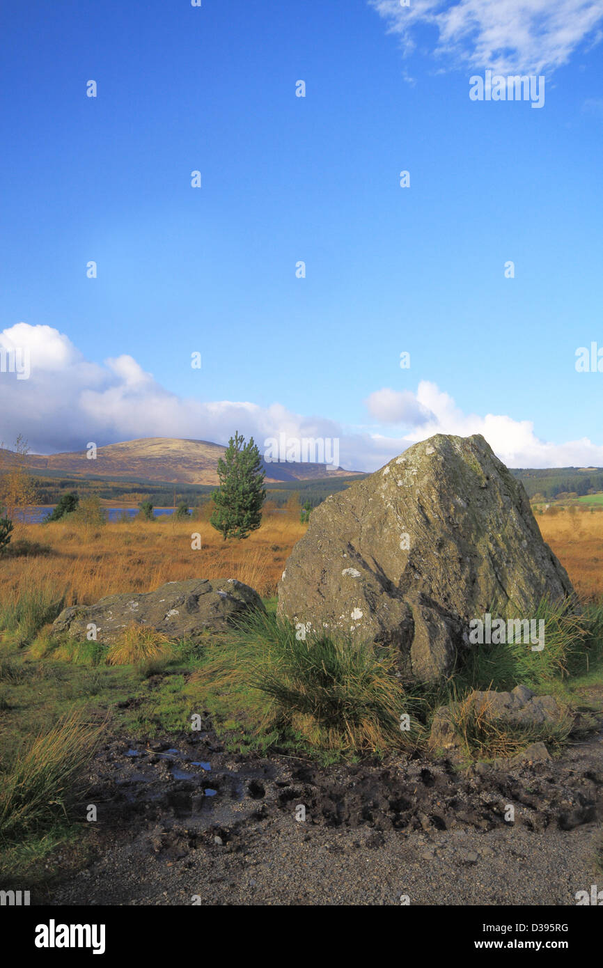 Bruce della pietra a Clatteringshaws Loch, Galloway Forest Park, Scozia Foto Stock
