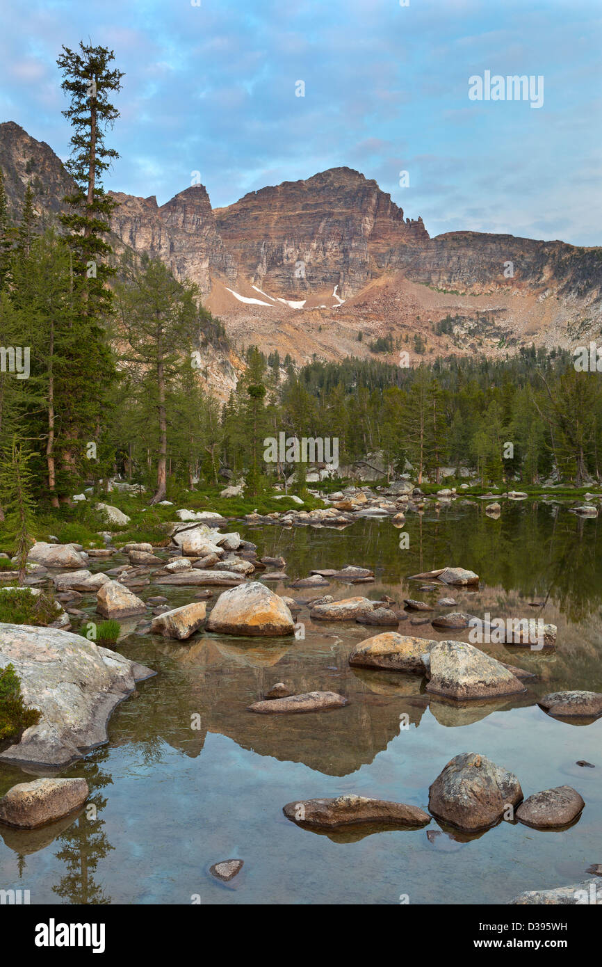 Warren Peak e Warren Lago in Anaconda Pintler Wilderness del Montana. L'estate. Stati Uniti d'America Foto Stock