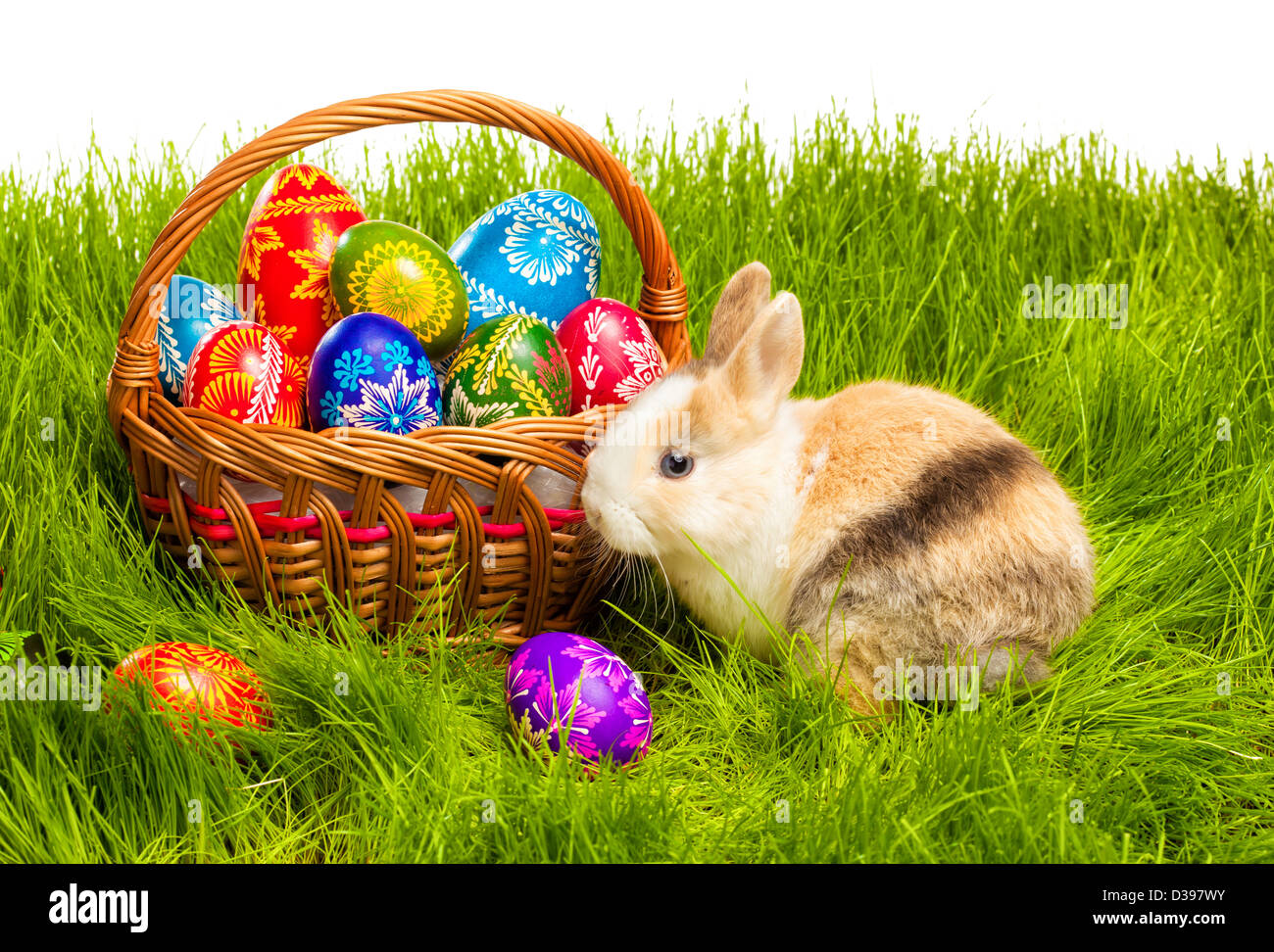 Cesto di pasqua con uovo e baby bunny sull'erba Foto Stock