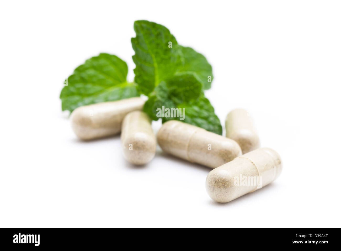 Capsula di organico su foglie di menta. Foto Stock