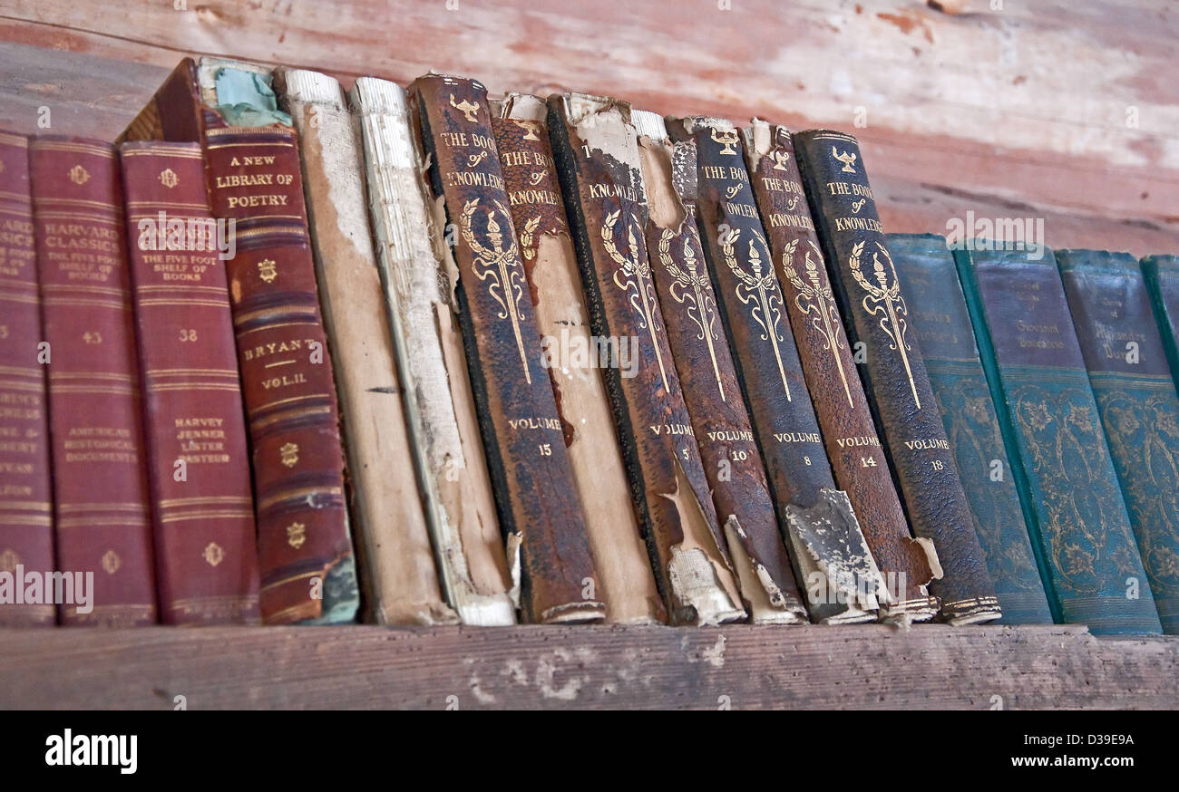 Questo è un piano orizzontale di scaffali in legno rivestito con mobili di antiquariato e vintage libri in varie condizioni. Invecchiato con uso molto negli anni. Foto Stock