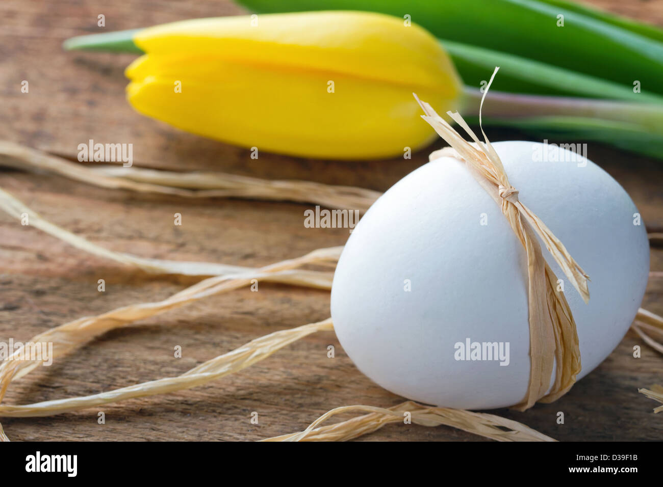 Bianco d'uovo di pasqua legati con spago su legno sfondo rustico Foto Stock