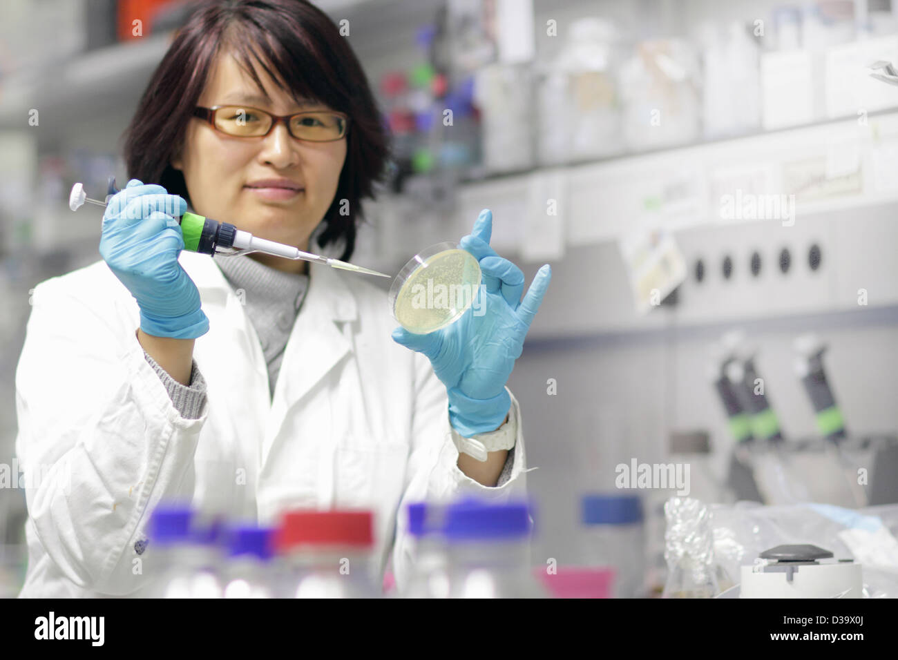 Scienziato esaminando capsula di petri in lab Foto Stock