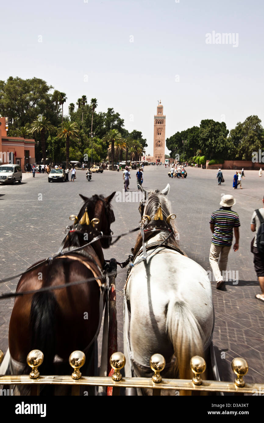 I cavalli tirando il carrello, Marrakech, Marocco Foto Stock