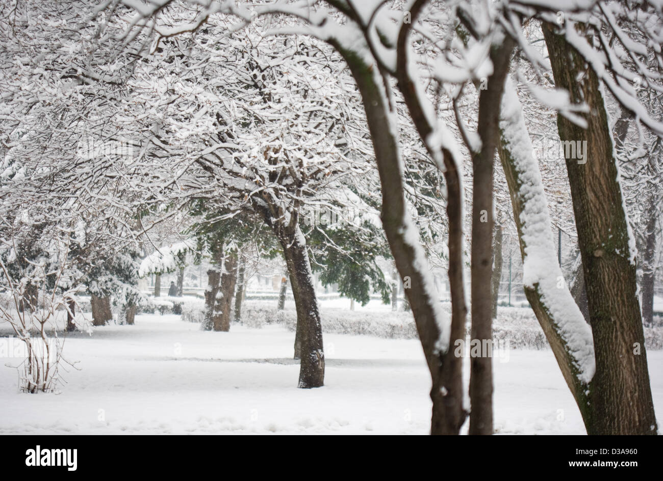 La nevicata, Cold Winter afernoon Foto Stock