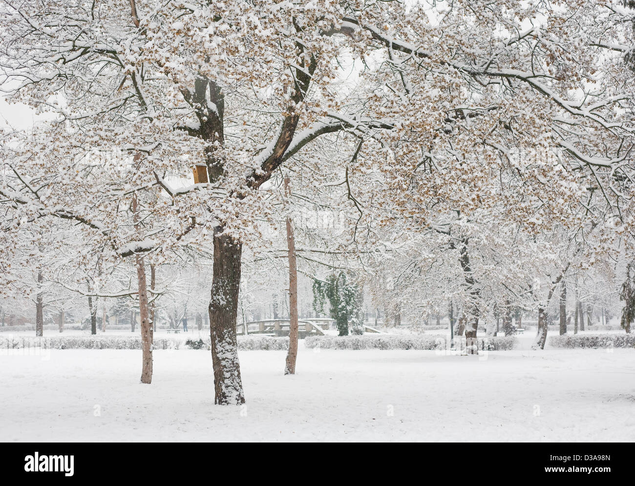 La nevicata, Cold Winter afernoon Foto Stock