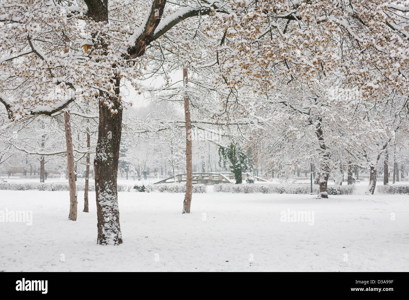 La nevicata, Cold Winter afernoon Foto Stock