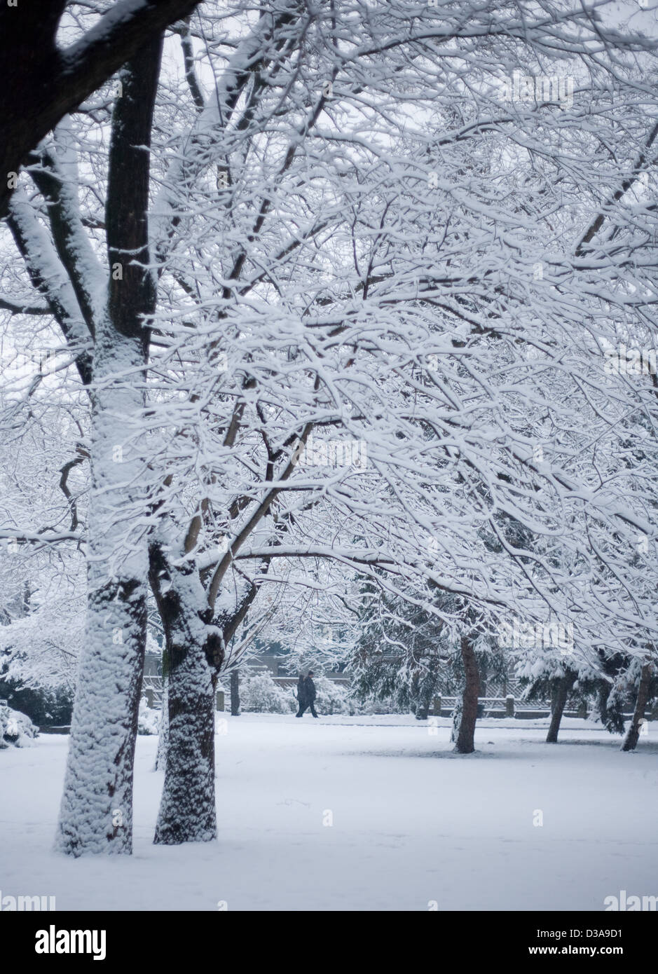 La nevicata, Cold Winter afernoon Foto Stock