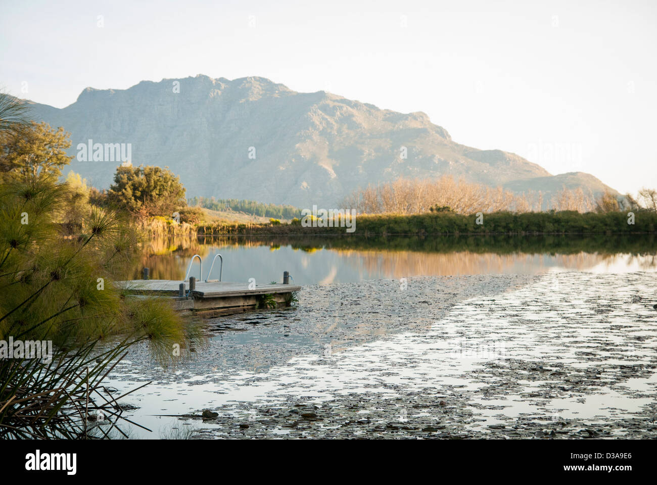 Molo in legno ancora sul lago rurale Foto Stock