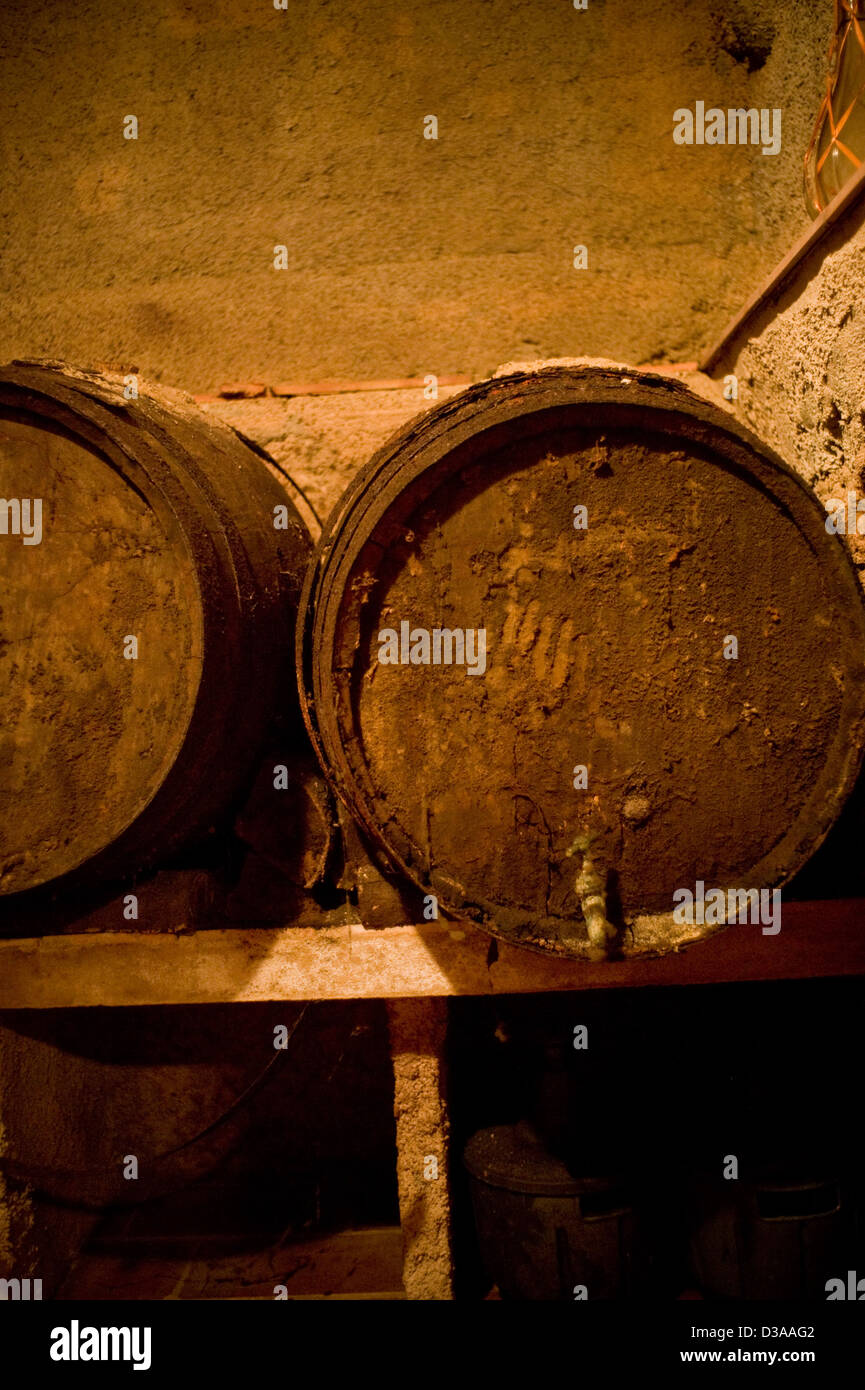 Vecchie botti di vino in una cantina. Foto Stock
