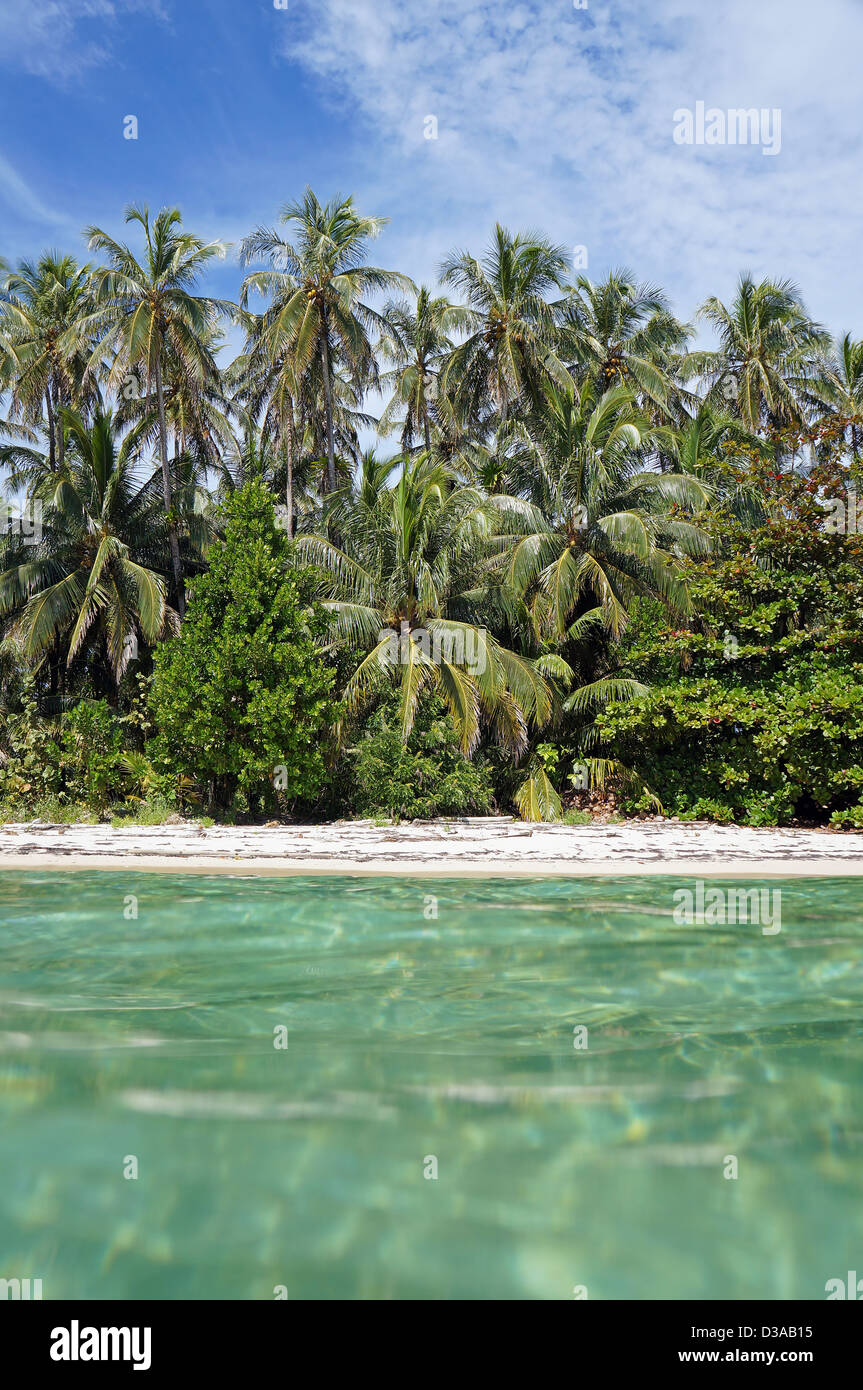 Tropical Beach shore con vegetazione lussureggiante visto dalla superficie dell'acqua, il mare dei Caraibi Foto Stock