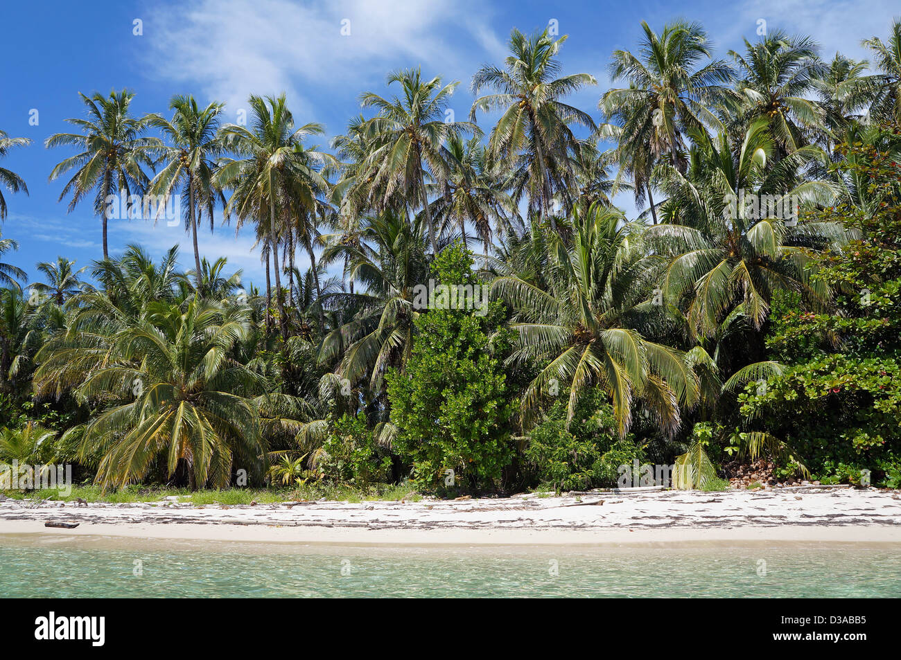 Selvaggia spiaggia di sabbia a riva con la lussureggiante vegetazione tropicale, Mar dei Caraibi Foto Stock