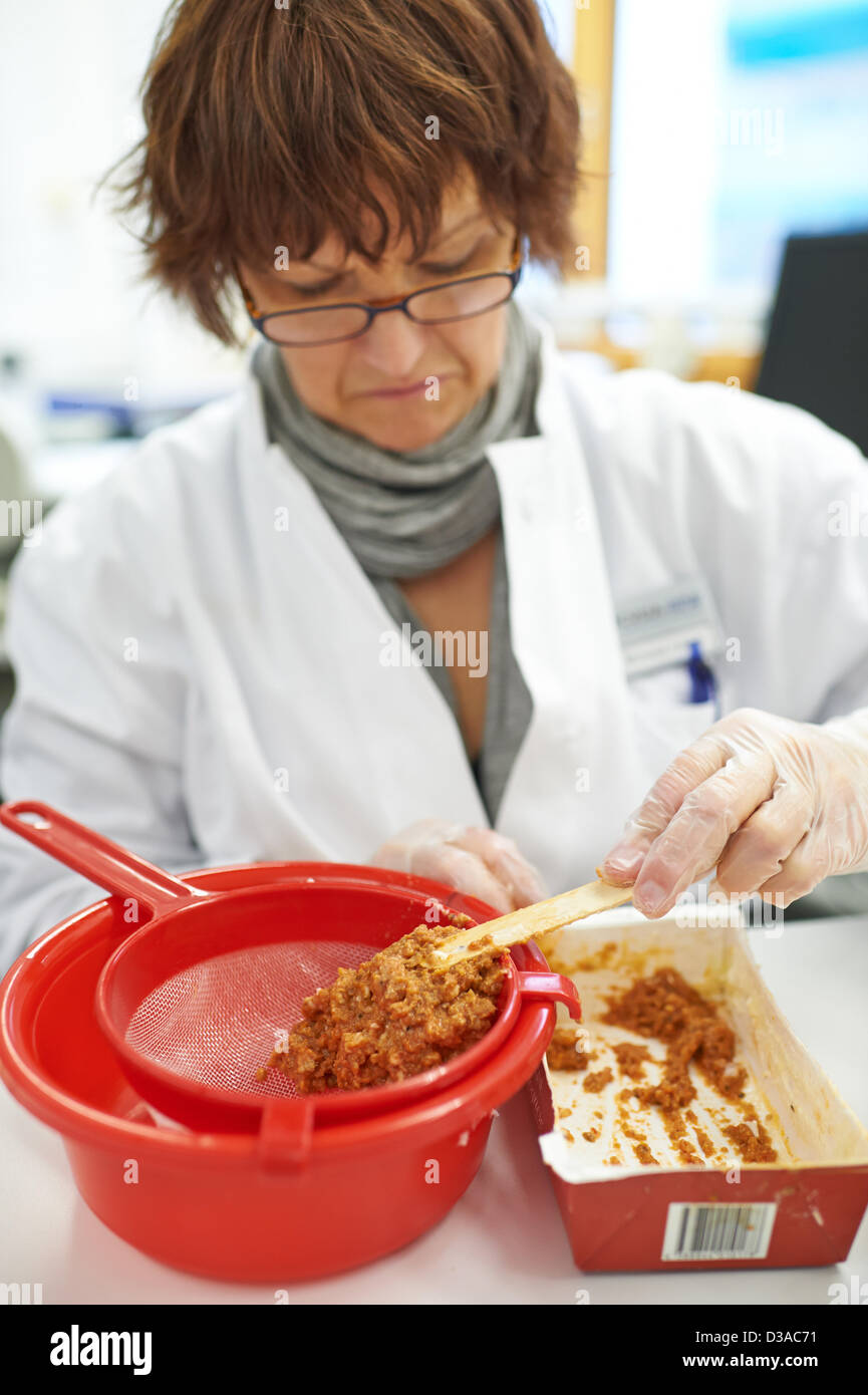 Krefeld, Germania. 14 febbraio 2013. Assistente di laboratorio Michaela Kraemer si prepara un campione di carne da una lasagna alla prova per il DNA di cavallo al chimico e veterinario Ufficio di indagine Rhein-Ruhr-Wupper in Krefeld, Germania, 14 febbraio 2013. Foto: BERND THISSEN/dpa/Alamy Live News Foto Stock