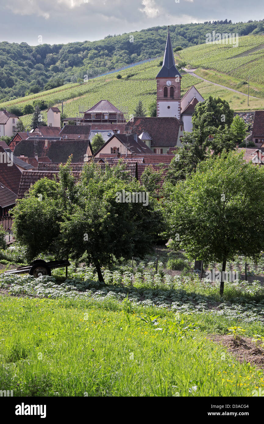 Piccolo borgo rurale in Alsazia, Francia Foto Stock
