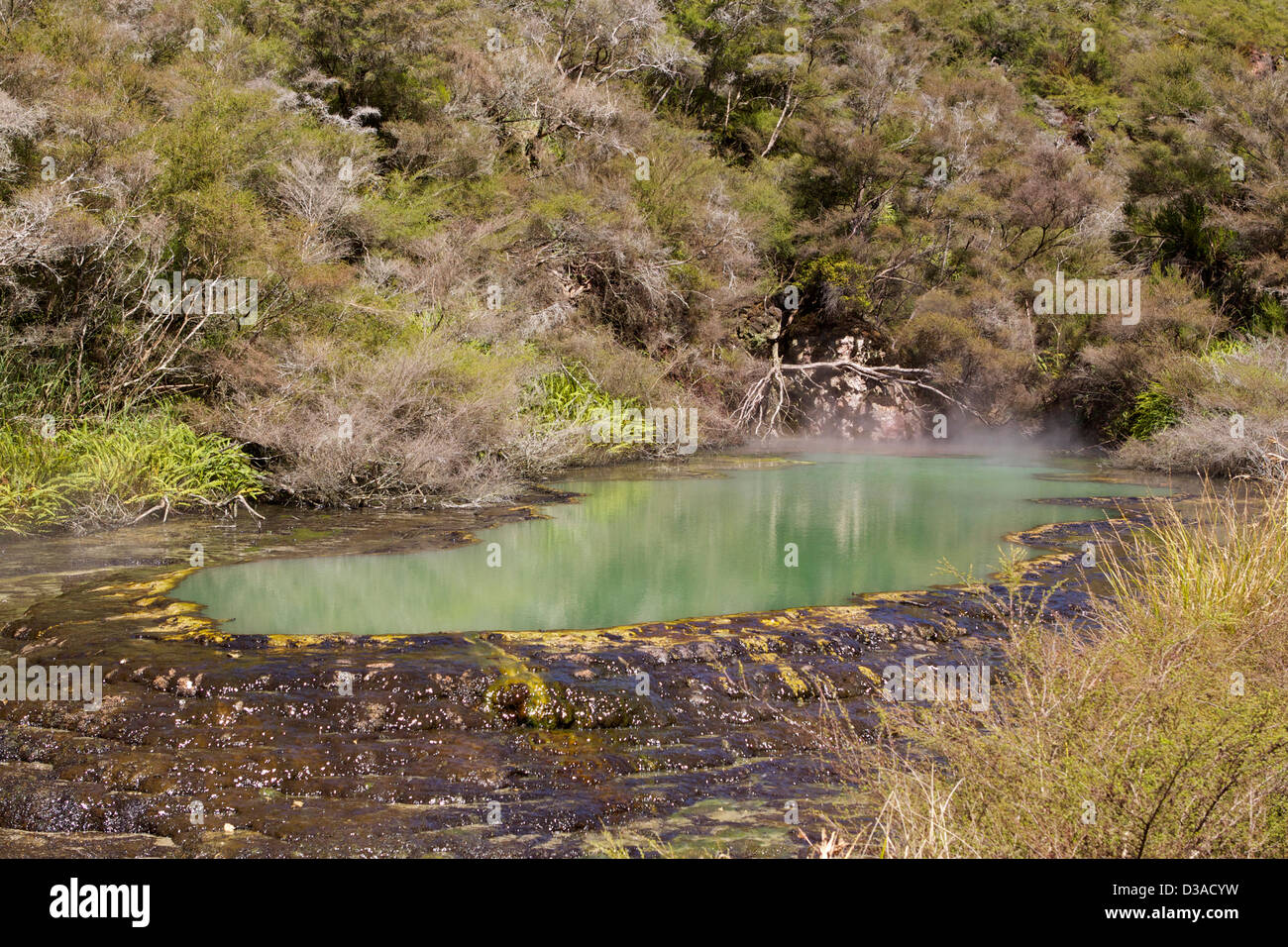 La Valle Vulcanica di Waimangu Isola del nord della Nuova Zelanda Foto Stock