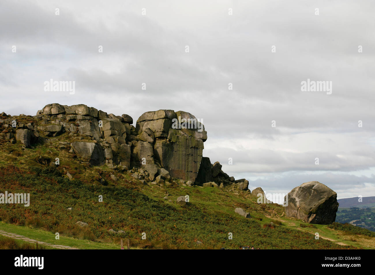 Latte di mucca e di rocce di vitello a Ilkley Moor , West Yorkshire Foto Stock