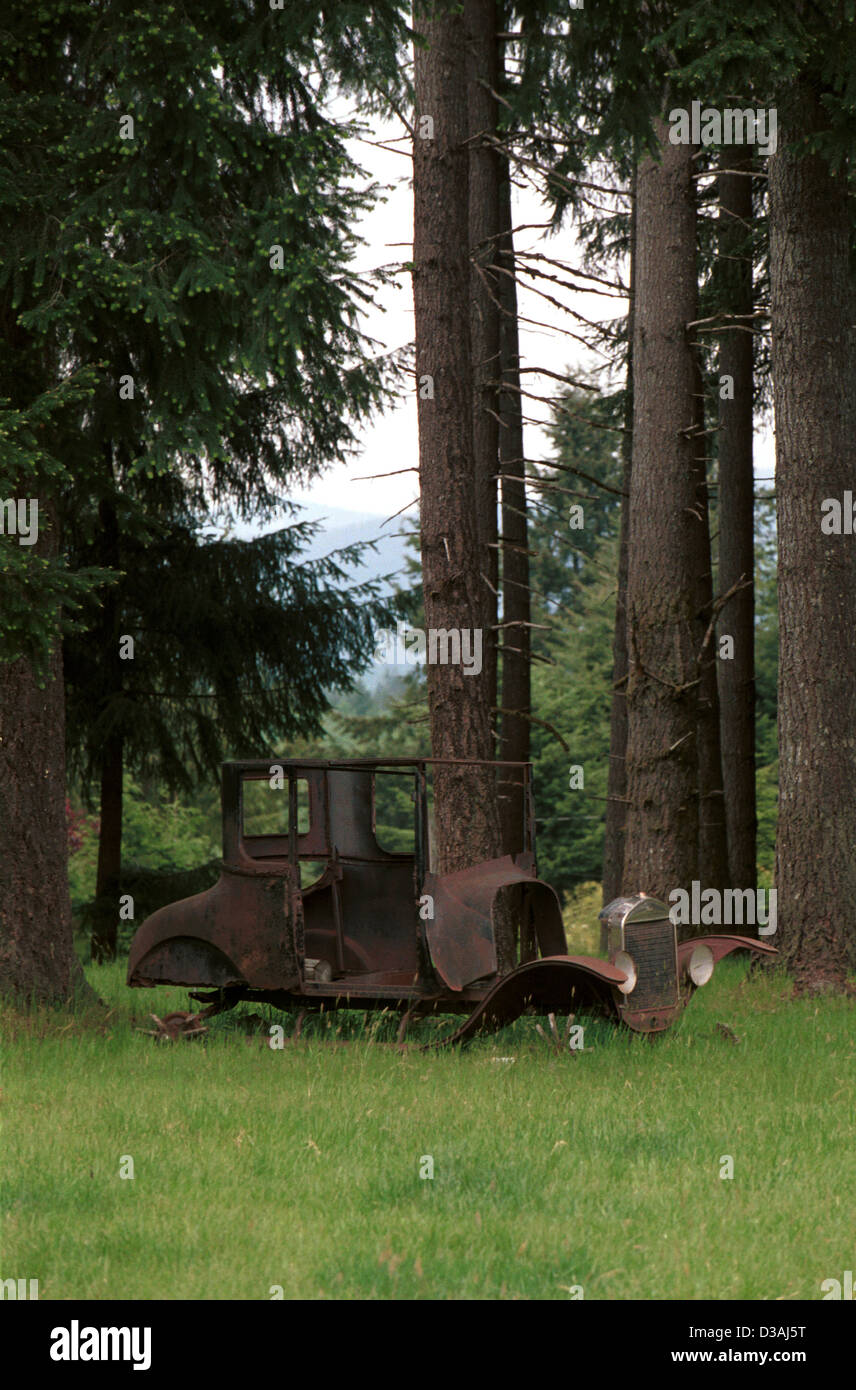 Un antico modello una Ford si trova in una foresta di abeti Pacific Northwest Oregon, STATI UNITI D'AMERICA, Foto Stock