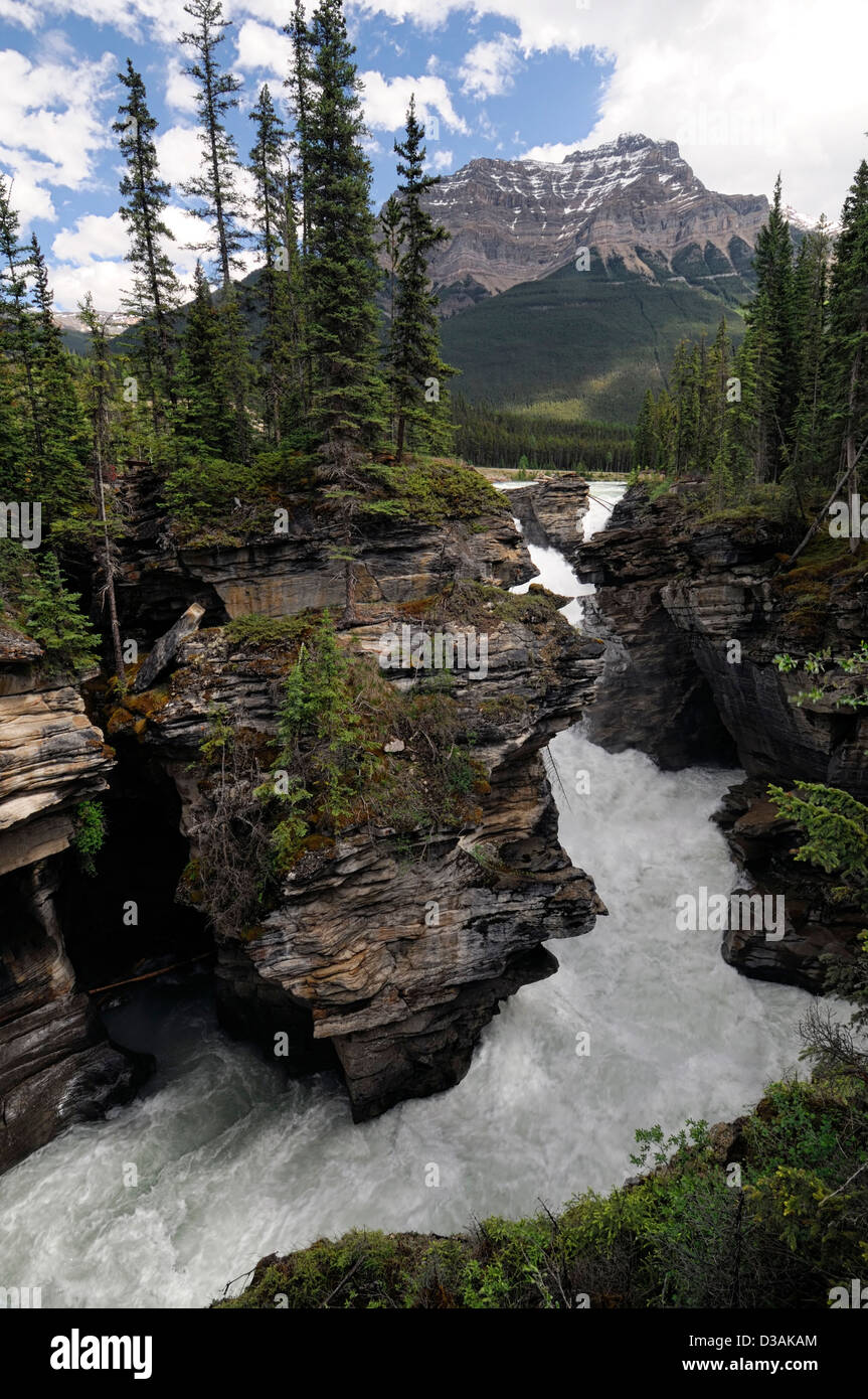 Cascate Athabasca il Parco Nazionale di Banff Alberta Canada cascata Mormorando di un ruscello Foto Stock