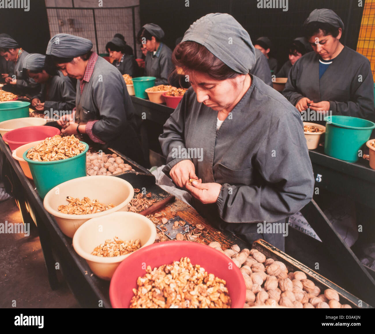 Donne lavoratori manuali nel dado impianto di lavorazione Foto Stock