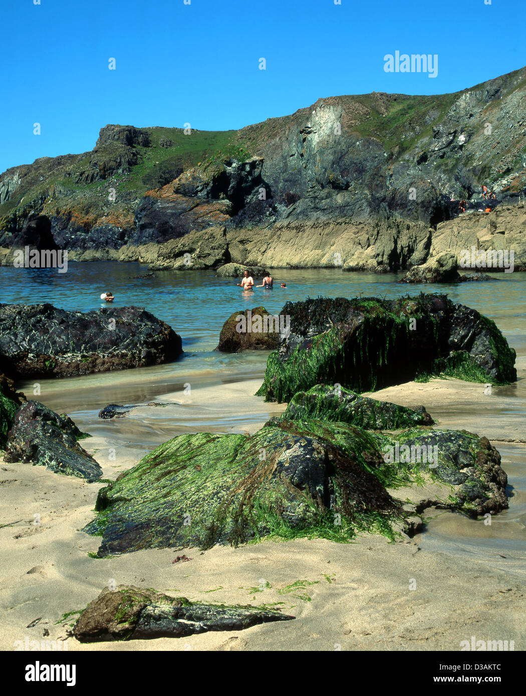 Kynance Cove è una baia sul versante orientale del Monte's Bay, Cornwall, Inghilterra Foto Stock