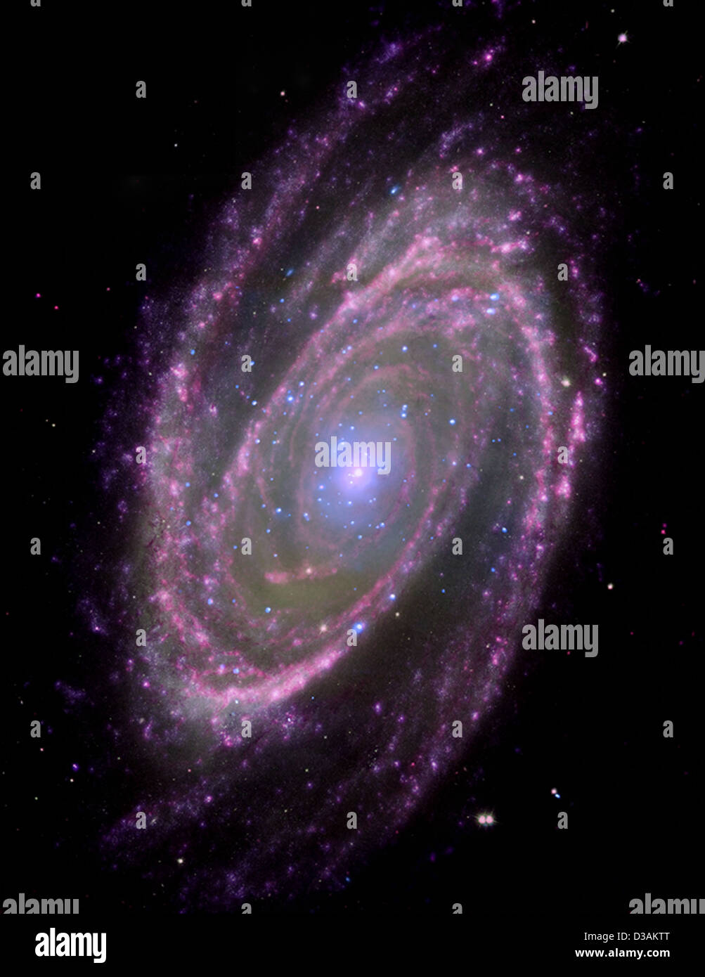 I buchi neri sono semplici abitudini di alimentazione (NASA, Chandra, 6/18/08) Foto Stock
