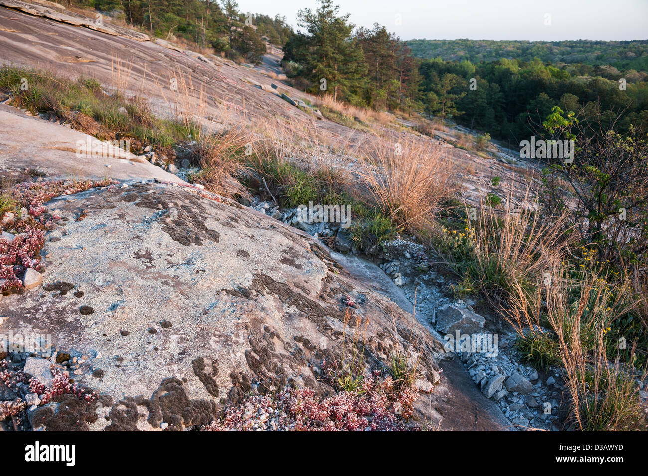 Stone Mountain al tramonto premia gli escursionisti con vedute panoramiche di bellezza naturale e la vicina skyline di Atlanta, Georgia. (USA) Foto Stock