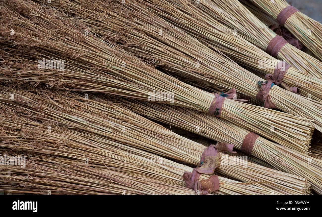 Indian erba spazzole reed. Indiana tradizionale spazzola di spazzamento realizzato per la vendita in un territorio rurale villaggio indiano. Andhra Pradesh, India Foto Stock