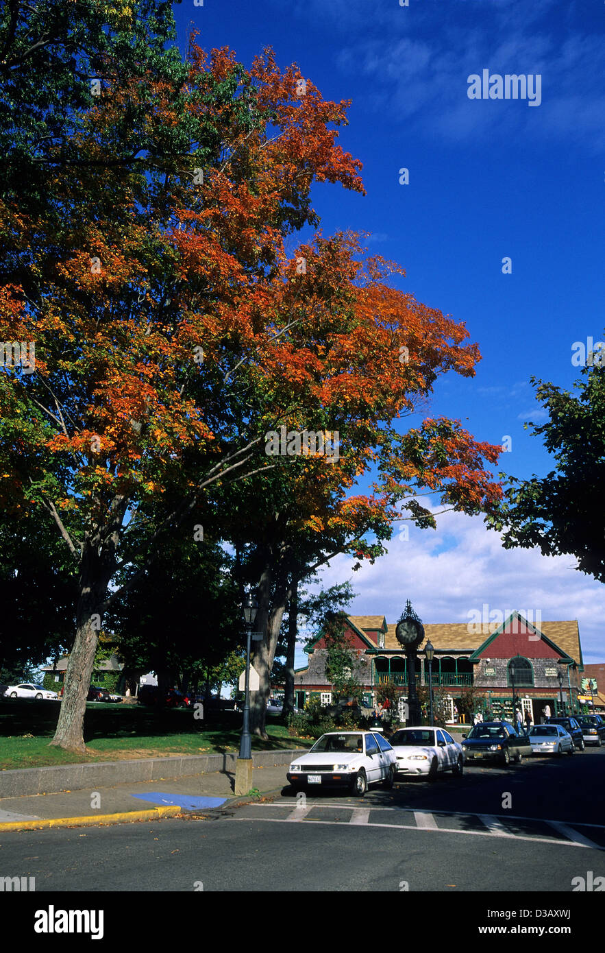 Elk282-1759v Maine, isola di Mount Desert, Bar Harbor, Villaggio Verde con fogliame di autunno Foto Stock