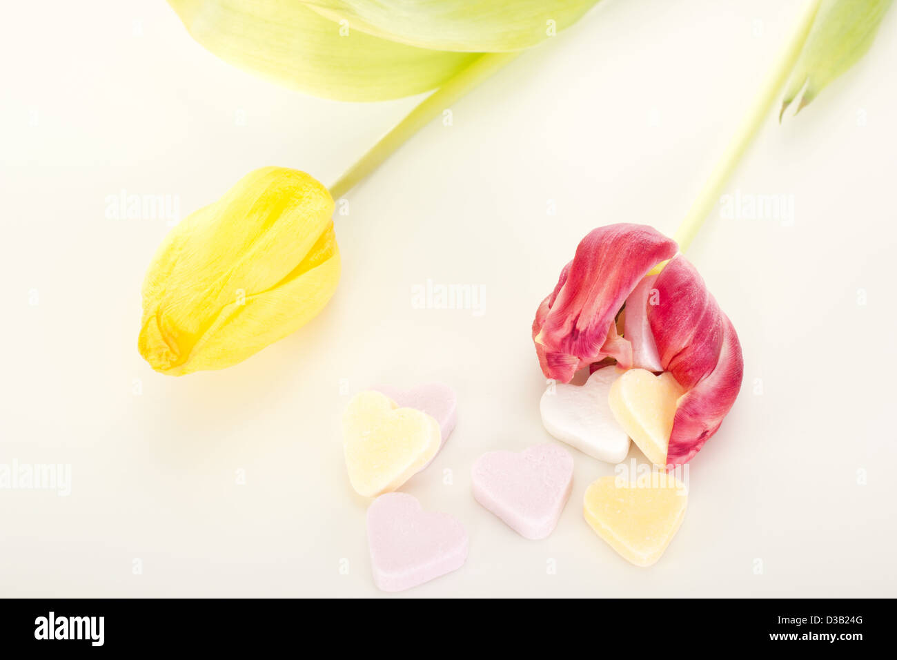 I tulipani con cuori Foto Stock