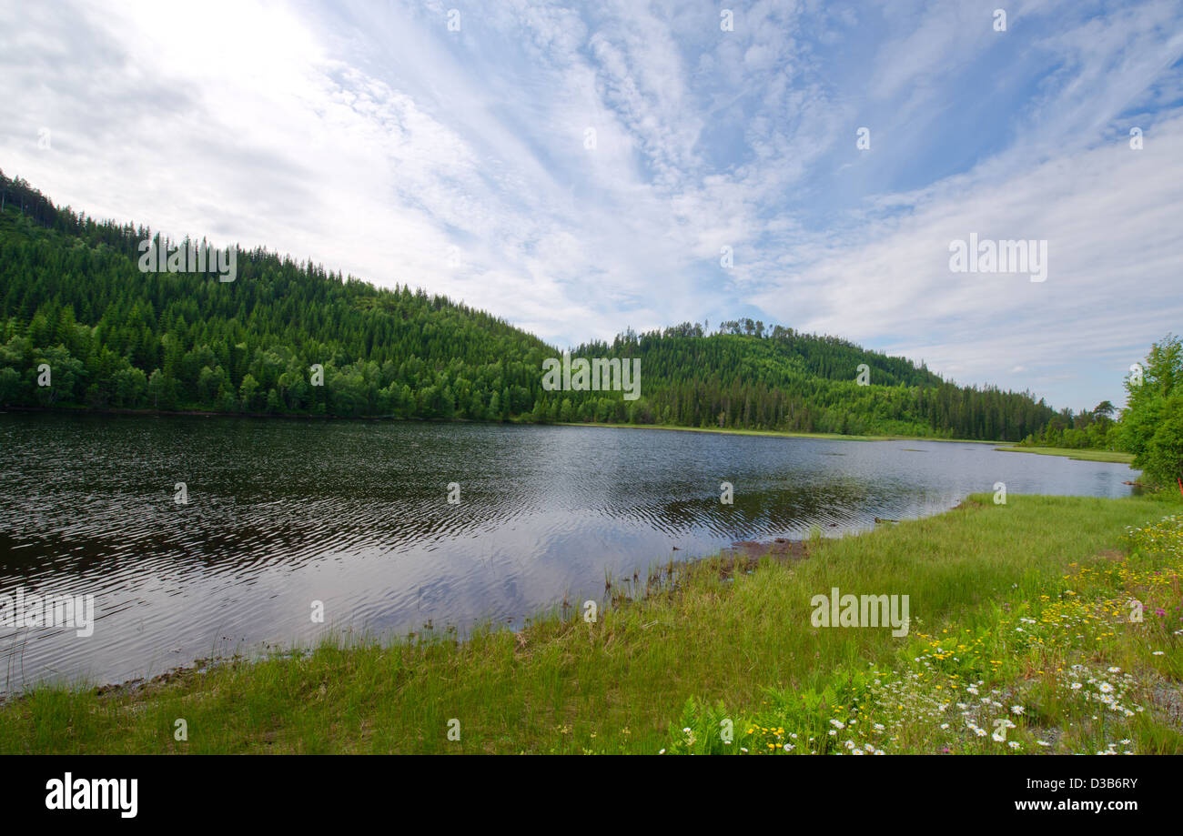 Vista panoramica del fiordo norvegese. Foto Stock