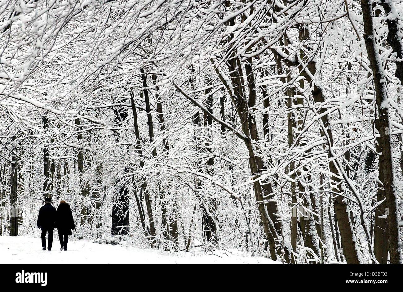 (Dpa) - Un paio di passeggiate attraverso la neve-coperta di foresta in Leipzig, Germania, 1 gennaio 2003. Foto Stock
