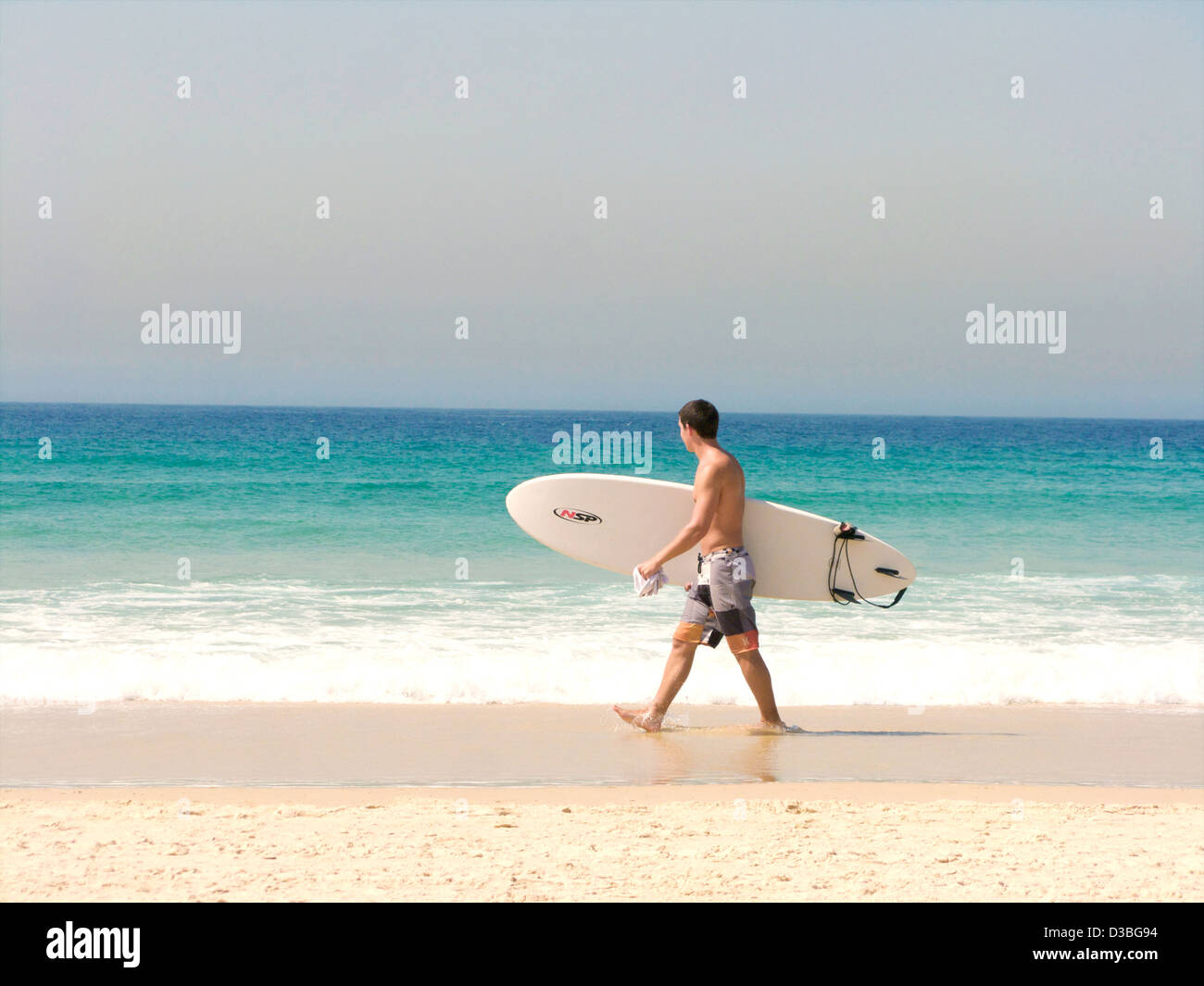 Un lone surfer passeggiate lungo la spiaggia di Bondi portando la sua tavola da surf guardando le onde. Foto Stock