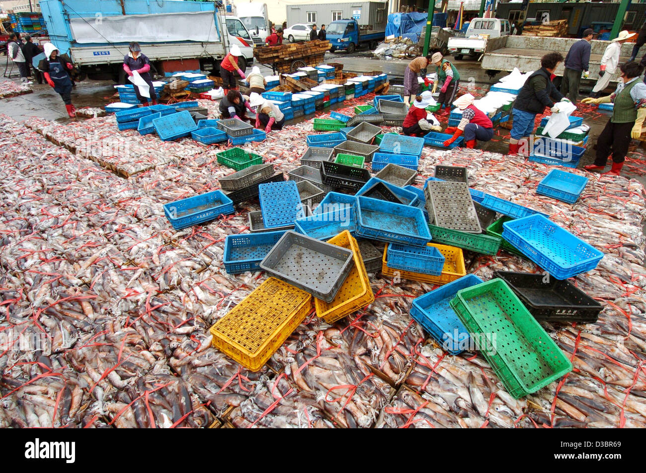 (Dpa) - Lavoratori ordina i carichi di prodotti freschi frish che è stato consegnato da barche da pesca presso il mercato del pesce di Busan, Corea del Sud, il 19 dicembre 2004. Di pesce, cozze e calamari sono i principali dieta in Corea del Sud. Foto Stock