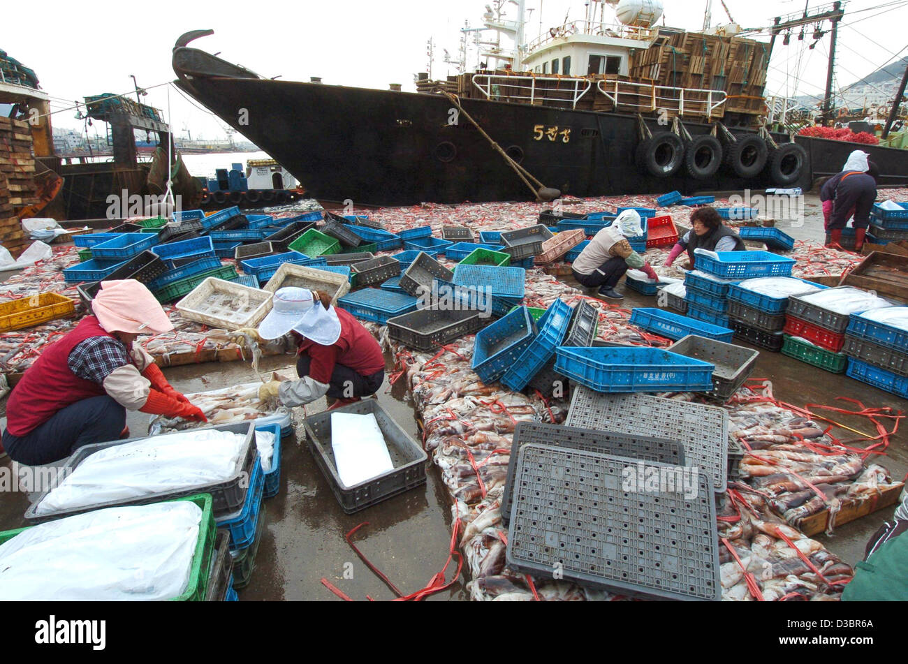 (Dpa) - Lavoratori ordina i carichi di prodotti freschi frish che è stato consegnato da barche da pesca presso il mercato del pesce di Busan, Corea del Sud, il 19 dicembre 2004. Di pesce, cozze e calamari sono i principali dieta in Corea del Sud. Foto Stock