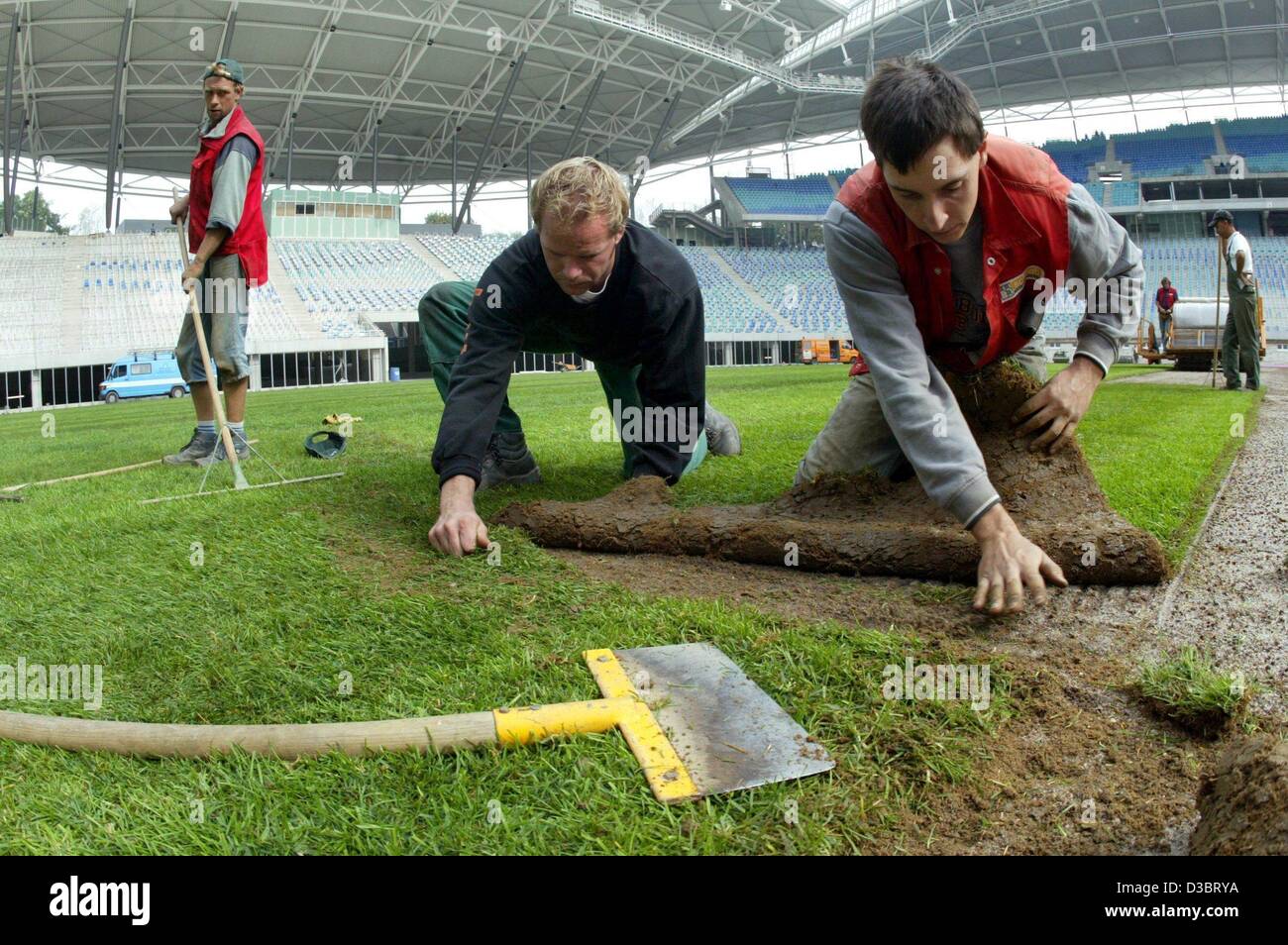 (Dpa) - i giardinieri Johannes Fuchs (L) e Alexander montare i bordi di due strisce di prato, al nuovo Zentralstadion (Central stadium) di Lipsia, in Germania, il 16 settembre 2003. Il totale di 8.000 mq di prato è fornito in rotoli con una lunghezza di 25 m e una larghezza di 2,20 m di ciascun tratto. Il nuovo stad Foto Stock