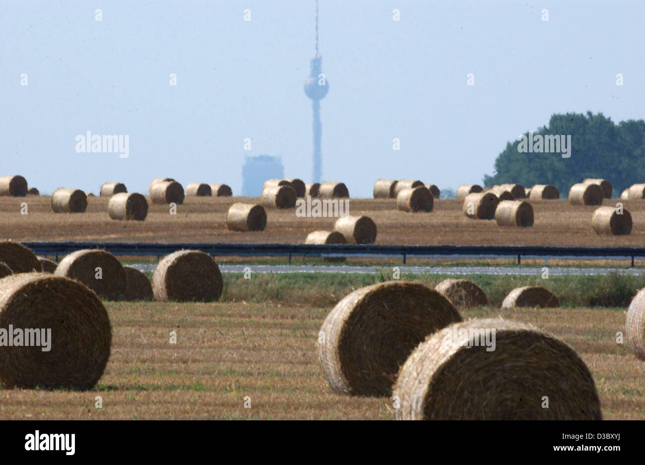 (Dpa) - La torre della TV nella distanza appare sfocata a causa del calore di sfarfallio su un campo di balle di paglia in Berlino, 5 agosto 2003. L'attuale ondata di calore in Germania ha raggiunto 30 gradi centigradi in Berlino e fino a un massimo di 40 gradi nelle regioni sud-occidentale. Foto Stock