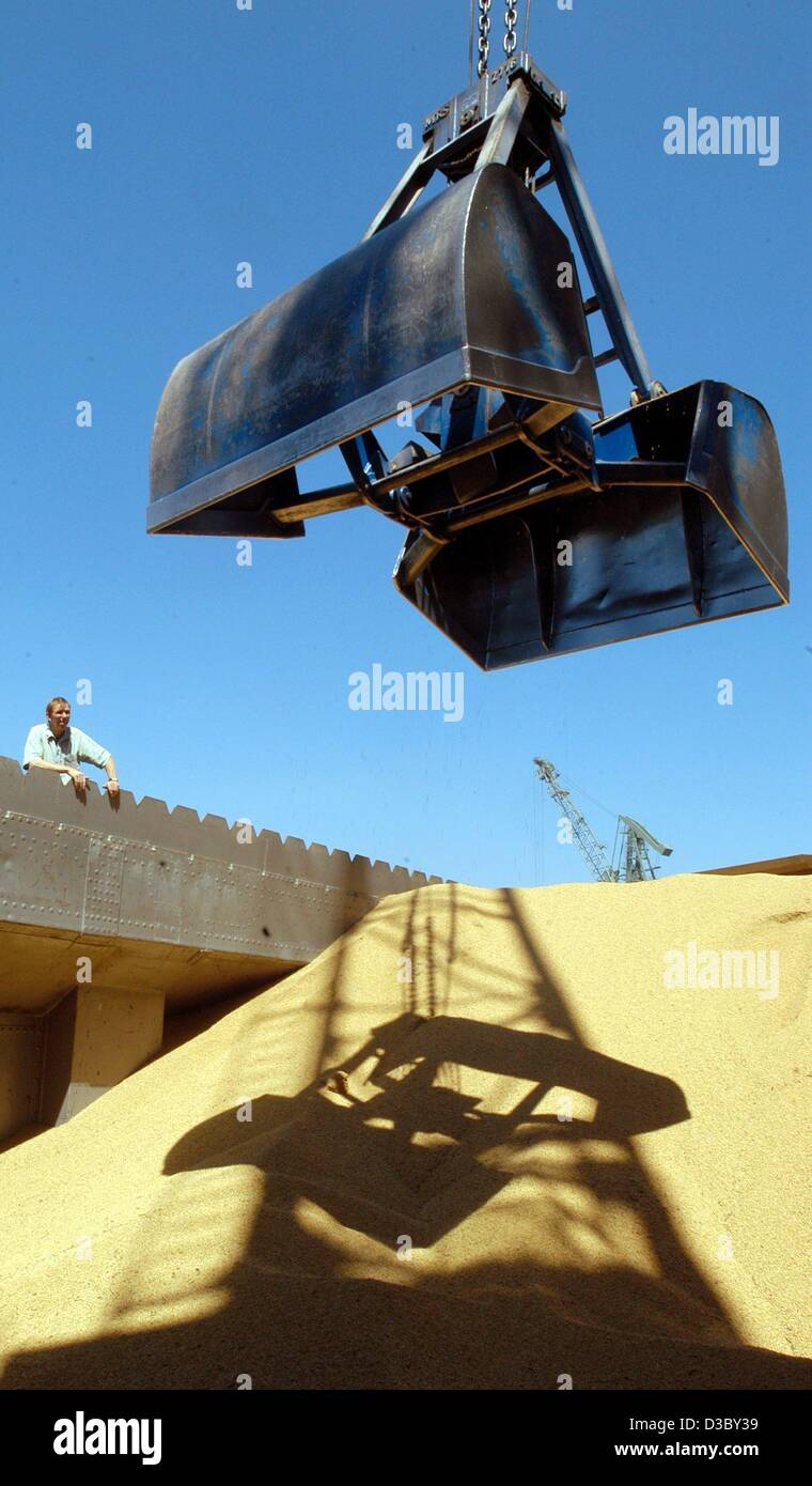 (Dpa) - La soia viene scaricato con una gru da una nave nel porto di Regensburg, Germania, 15 luglio 2003. Foto Stock