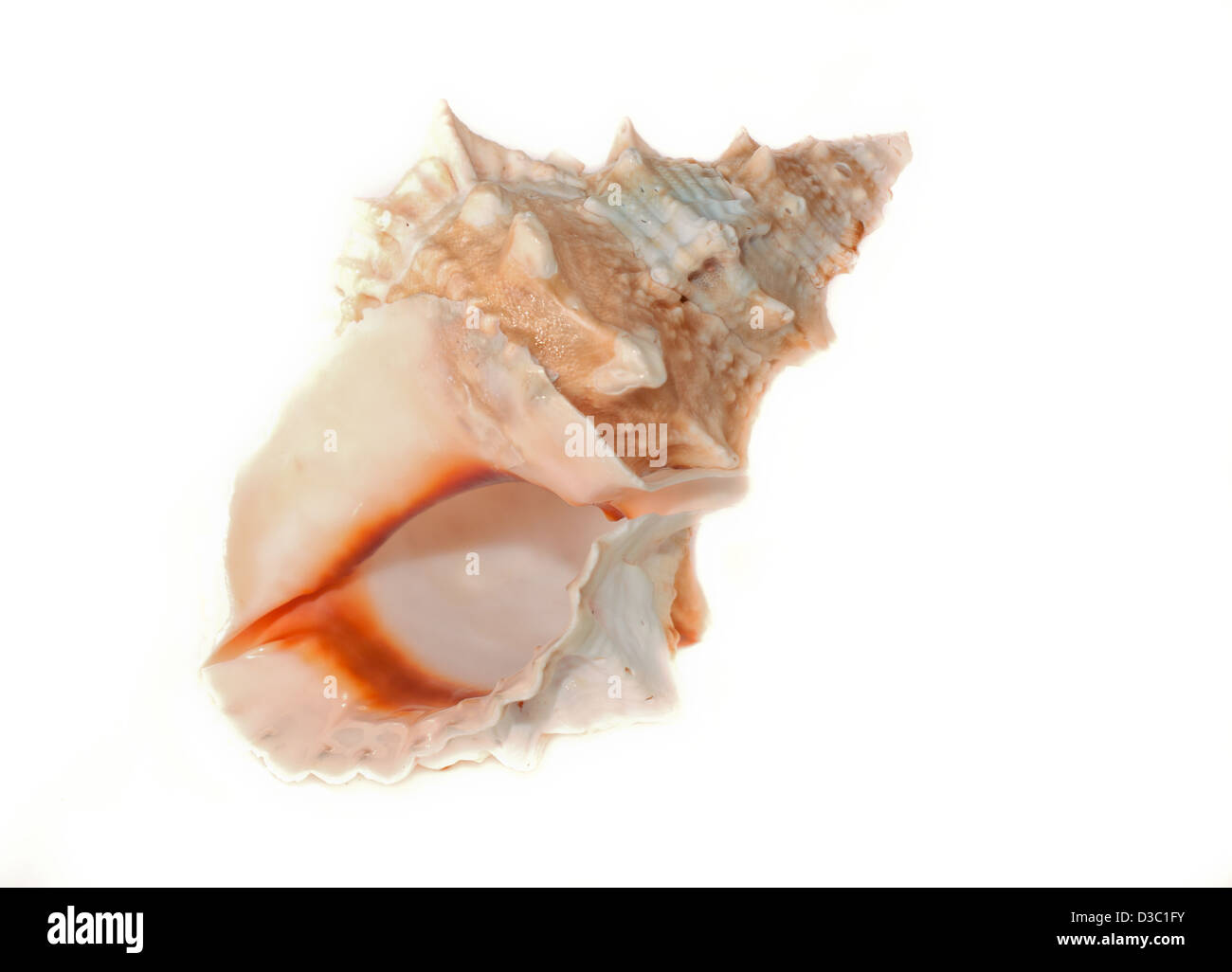 Oceanografia Immagini senza sfondo e Foto Stock ritagliate - Alamy