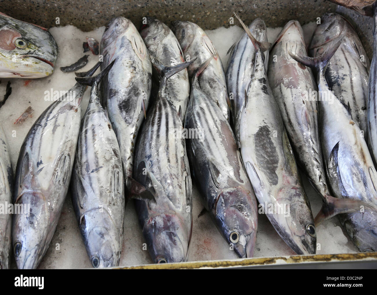 KINGSTON mercato del pesce,ST.VINCENT,DEI CARAIBI Foto Stock