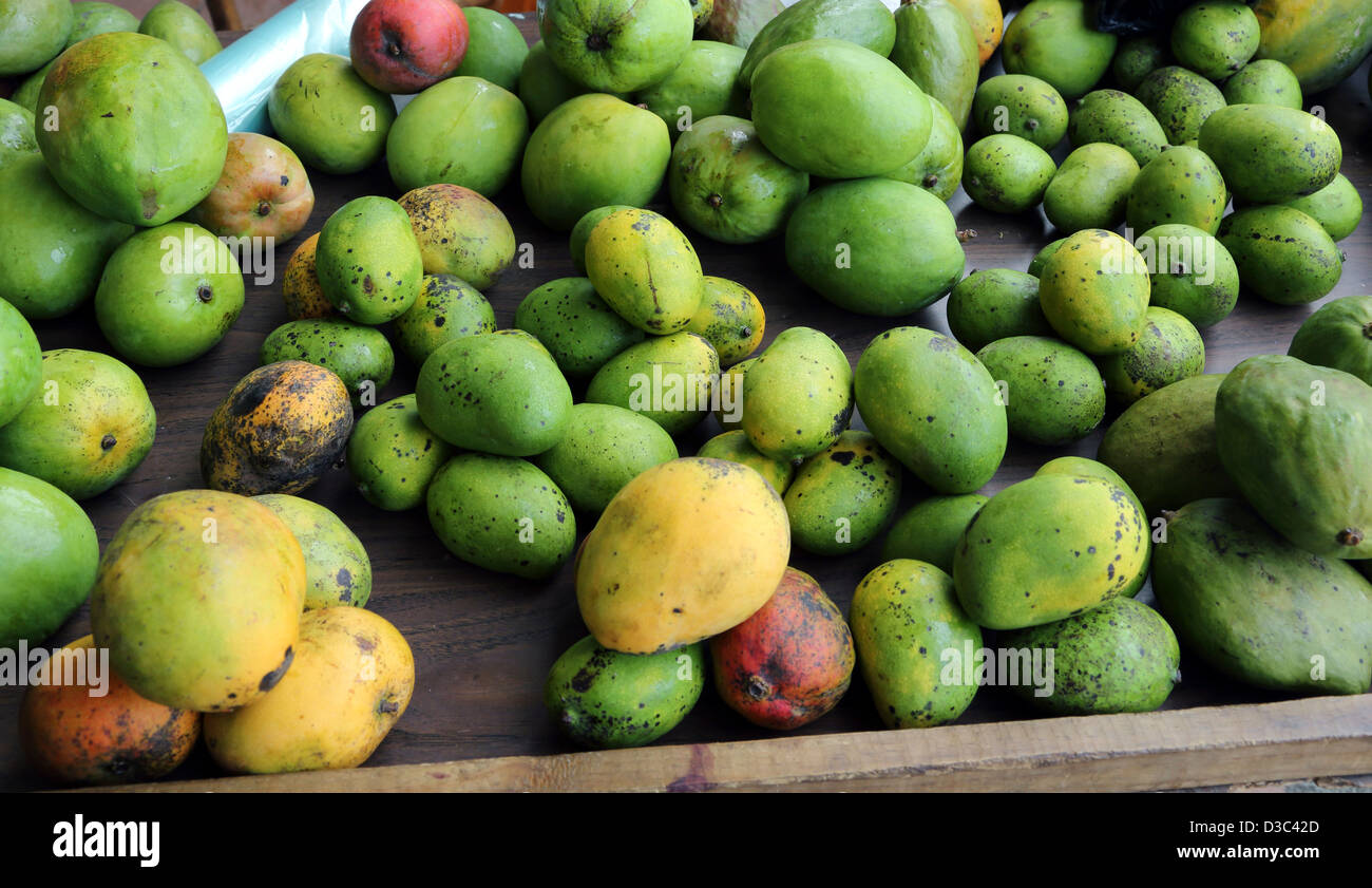 Pressione di stallo di mango,ST.LUCIA Foto Stock