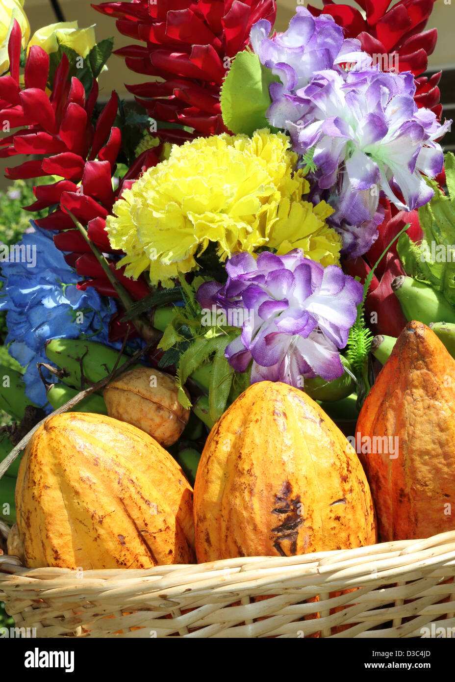 La frutta tropicale e fiori Foto Stock