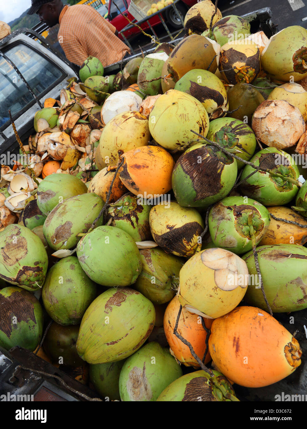Caraibi fresca noci di cocco Foto Stock