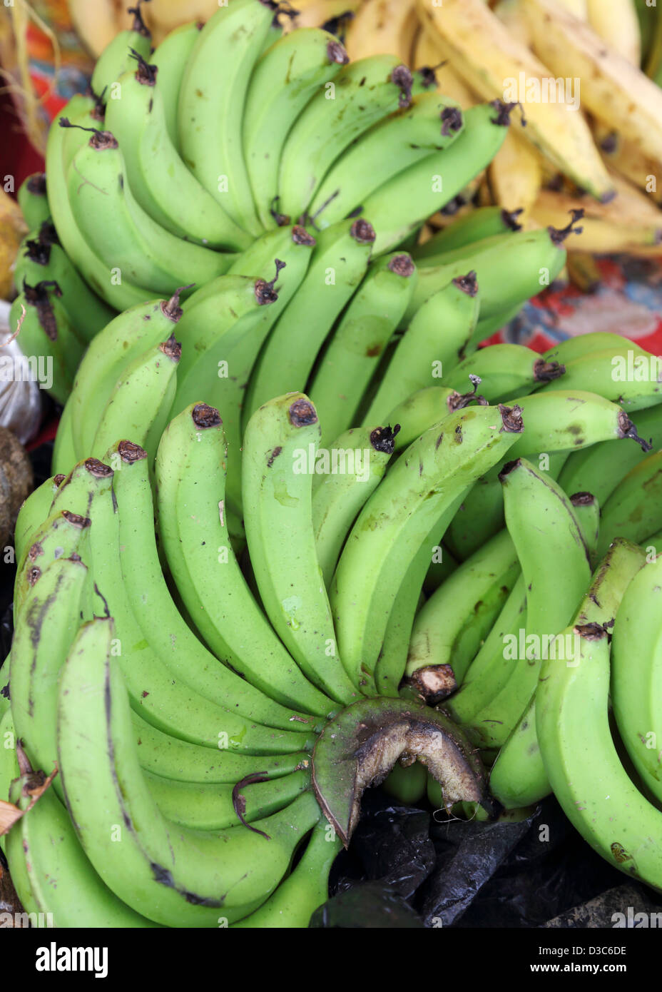 Banane verdi,Caraibi stallo del mercato,DOMINICA Foto Stock