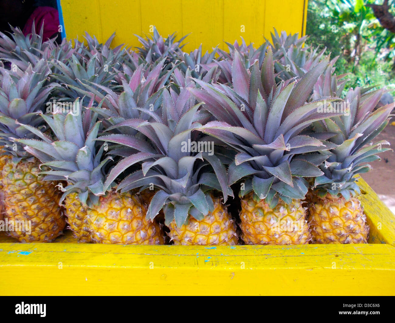 Ananassi,Caraibi stallo di frutta,ANTIGUA Foto Stock