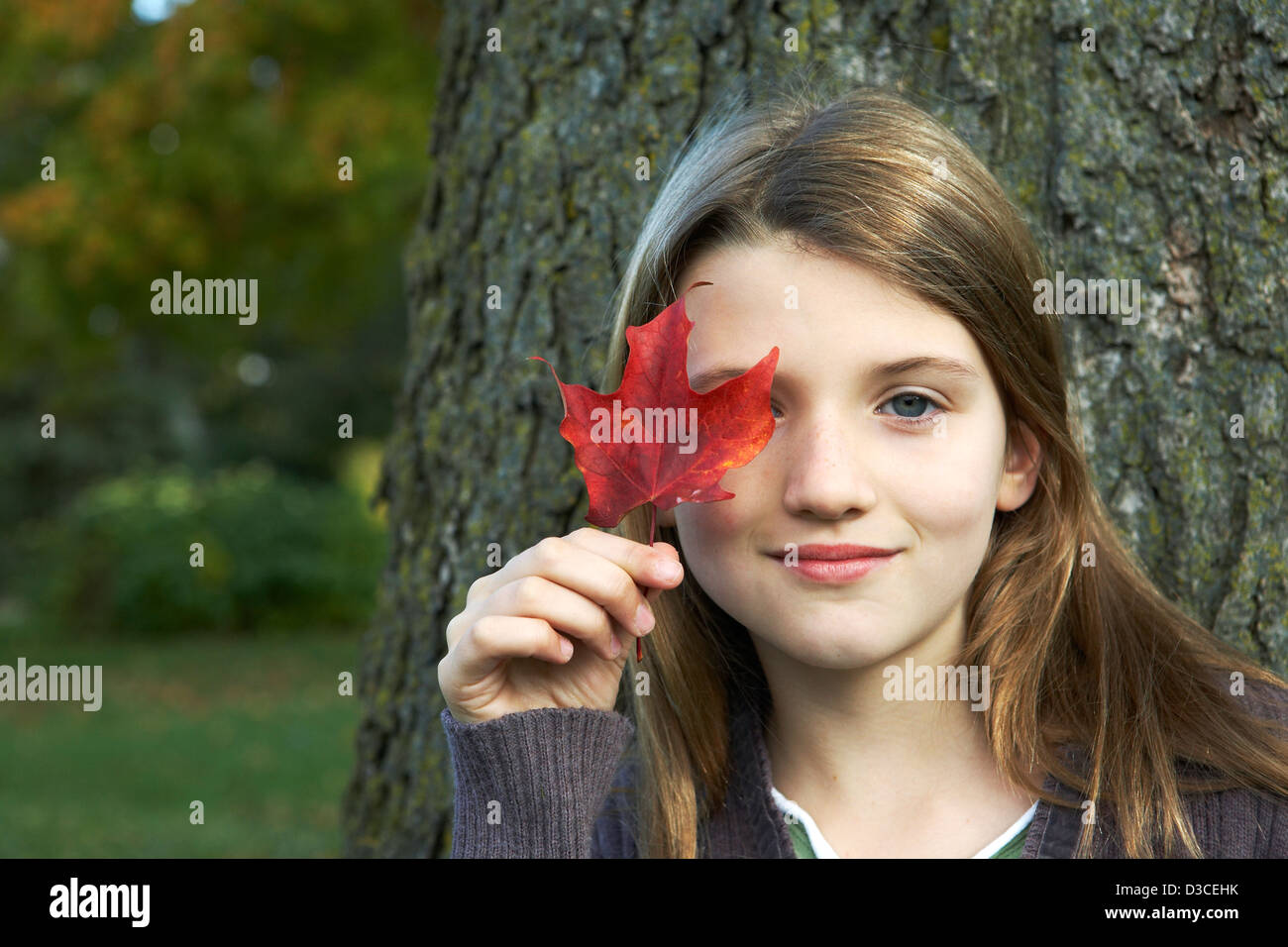 Bel bambino azienda red leaf Foto Stock