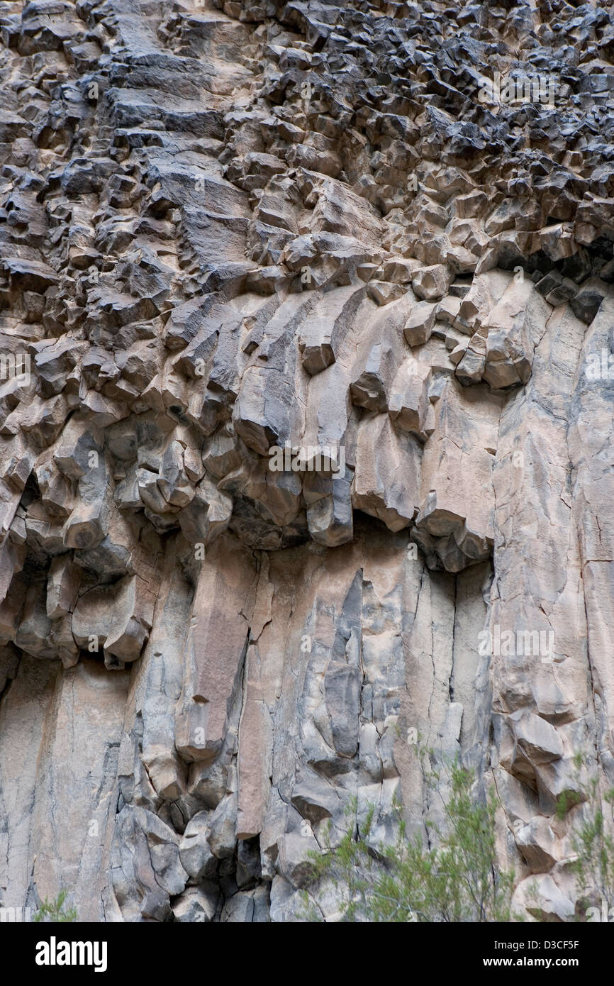 Una parete di colonne di basalto del Grand Canyon Foto Stock